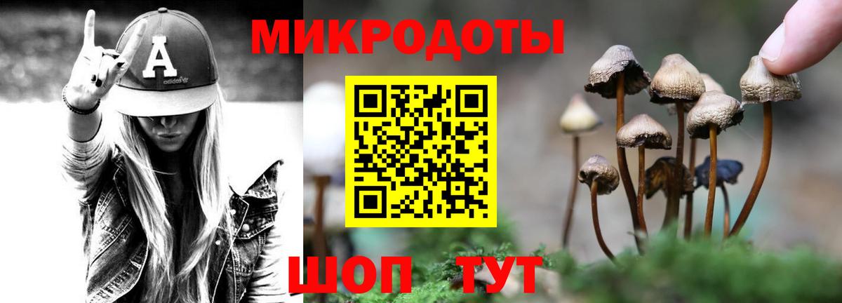 Коммунар  Галлюциногенные грибы Magic Shrooms  Вход с VPN  Псилоцибиновые грибы Psilocybine cubensis 